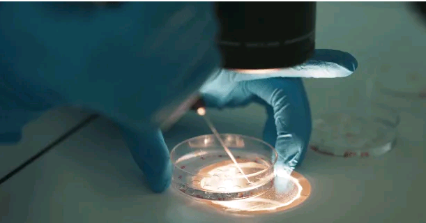 国内供卵生子中介,南昌三代试管生孩子大概需要费用？