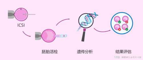 合肥试管婴儿：雌二醇低会取空卵泡？特殊需求家庭必看
