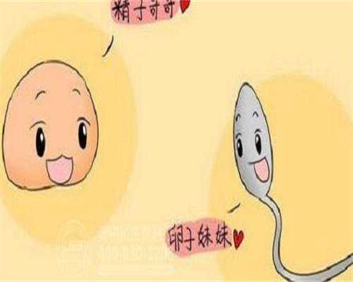 合肥38岁试管攻略：高龄备孕食谱大全与避坑指南