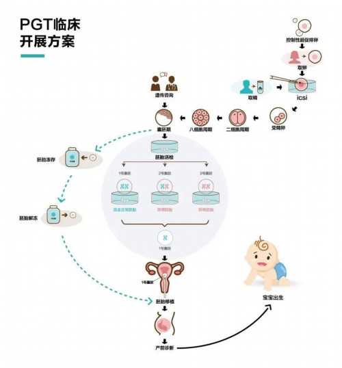 做试管导致闭经